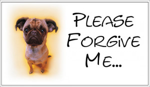 Please Forgive Me Ecard