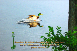 Inspirational Wallpapers Bible Verses Photo 41 of 53