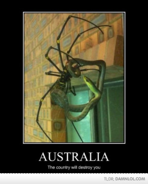 SH!T! Australia's Most Deadly Animals Fight To The Death