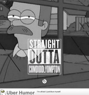 Flanders knows how to keep it real | Funny Pictures, Quotes, Pics ...