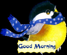 Goodmorningcoldwindbird Gif