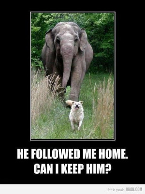 If you enjoyed this, check our our Funny Animals Joke Pics