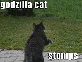 photo: Godzilla cat funny-pictures-godzilla-cat-invisible-tokyo.jpg
