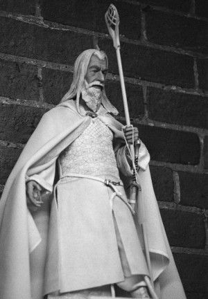Gandalf The White Echoladyuk