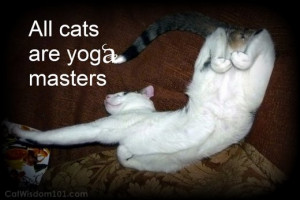 ... is offering a 20% discount on her Yoga Cat Mats at her Etsy shop