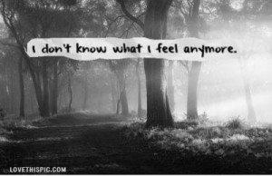 love it i dont know what i feel anymore