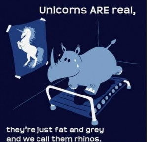 Funny-Fat-Unicorns-MEME.jpg