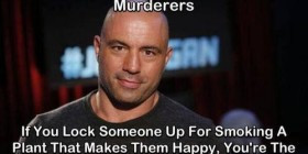 Joe Rogan On Going To Prison For Pot Quote