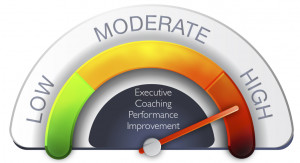Executive Coaching Leads to High Performance