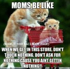 super snap funniest jokes, super snap funny jokes