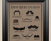Funny Mustache Birthday Quotes 6d56f001f33df4241bdf16d40518c ...