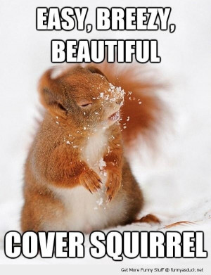 cover squirrel snow animal funny pics pictures pic picture image photo ...
