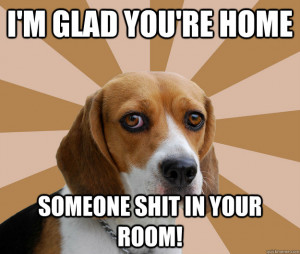Funny Beagle Meme Dog Beagle Meme