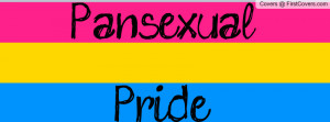 Pansexual Pride Flag Facebook Cover