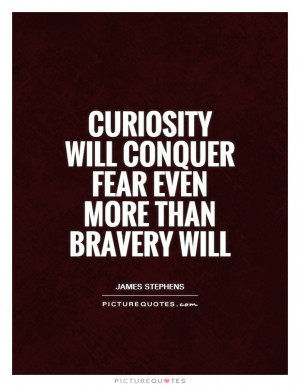Fear Quotes Bravery Quotes Curiosity Quotes James Stephens Quotes