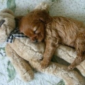 Pinned by Megan Porter