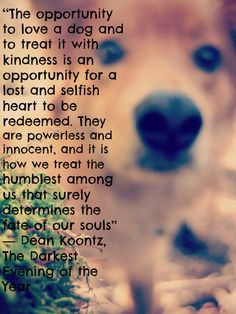 This is my dog I rescued 3 year ago, Hurley, and a quote from a book ...