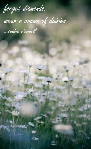 ... . wear a crown of daisies. #daisies #flowers #quote #diamonds #crown