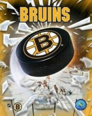 Boston Bruins NHL 8x10 Photograph Team Logo and Hockey Puck