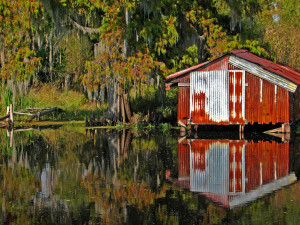 Boat House And Spanish Moss...