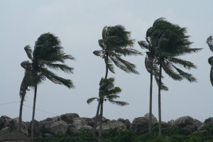 Orage, tempêtes... les garanties qui vous protègent