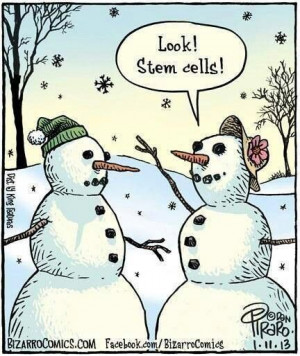Stem cell
