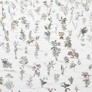 Zadok Ben David transforms a two-dimensional still life drawing into ...