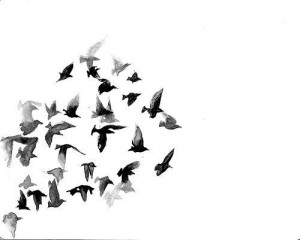 tumblr_static_black_and_white_birds_background