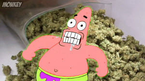 gif LOL film weed 420 spongebob spongebob squarepants alcohol