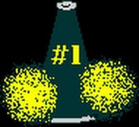 CHEERLEADER: (n.) an athlete who can jump, kick, toss, catch, stunt ...