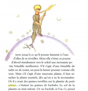 Le Petit Prince - learning the words