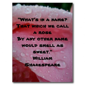 William Shakespeare Rose Quote Pink Postcard