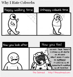 Why I Hate Cobwebs - Why I hate cobwebs