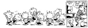 Best Calvin and Hobbes Strips