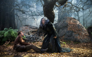 James Corden and Meryl Streep star in 'Into the Woods' Photo: Disney ...