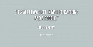 quote-Brad-Garrett-its-all-i-have-left-in-my-15955.png