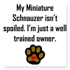 Well Trained Miniature Schnauzer Owner Sticker for