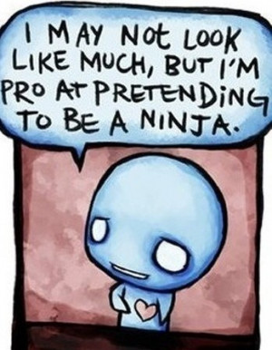 Ninja Quotes for fun