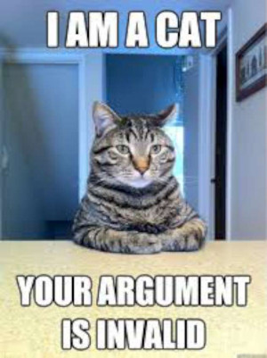 argument invalid meme cat-W630