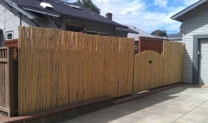 Bamboo fence being installed over existing fence.