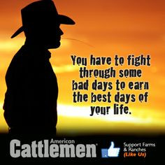 ... cattlemen-e-magazinecountri life, farm quot, american cattlemen