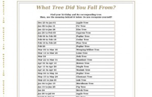 Your Birthday, Your Tree and their meanings (wowzone.com) WOW Poetry ...