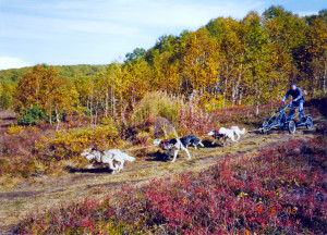 Funny Quotes Contact Us DMCA Notice