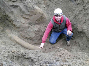 ... is the largest, most intact mammoth tusk, ever found in the region