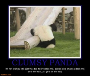 clumsy-panda-faceplant-clumsy-demotivational-posters-1320823763.jpg