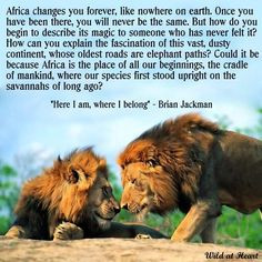 Africa quote. Don't understand the second part of the big paragraph ...