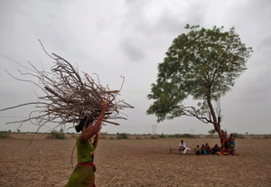 From AlertNet: Water scarcity compounds India’s food insecurity
