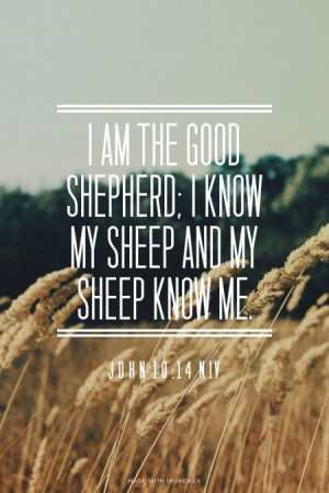 am the good shepherd; I know my sheep and my sheep know me. - John ...