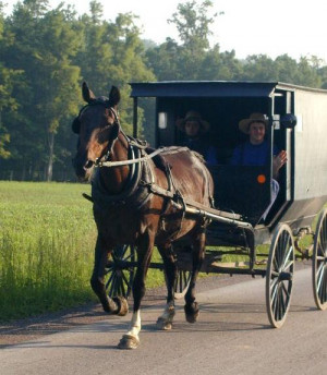 ... way to experience the countryside that the amish of pennsylvania call
