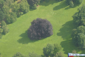 czech republic quotes